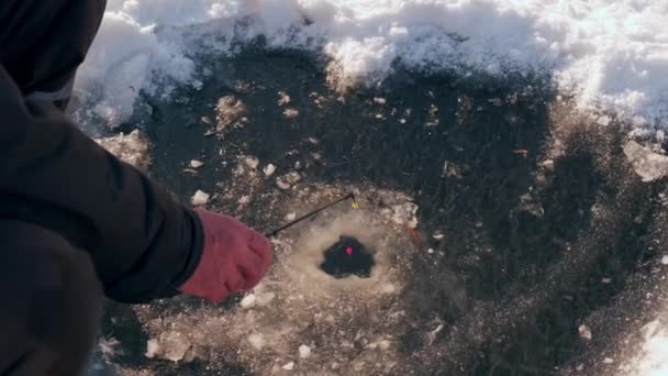 Feche a vara de pesca para o dia ensolarado de inverno. pesca é pego em um buraco no gelo — Vídeo de Stock