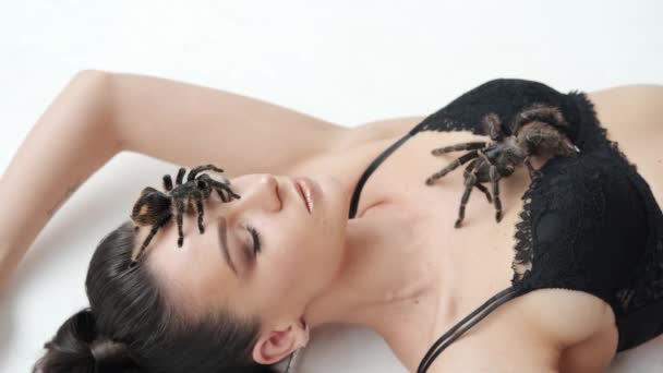 Närbild Sexig tjej med en stor svart spindel ligger på en vit bakgrund. Vercion 2 — Stockvideo