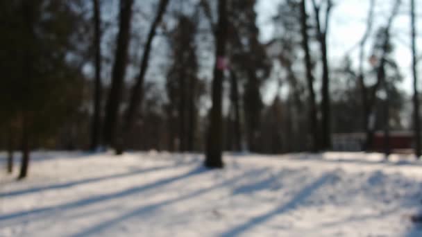 Árbol de Navidad de nieve azulada en el parque de invierno. Vercion 2 — Vídeo de stock