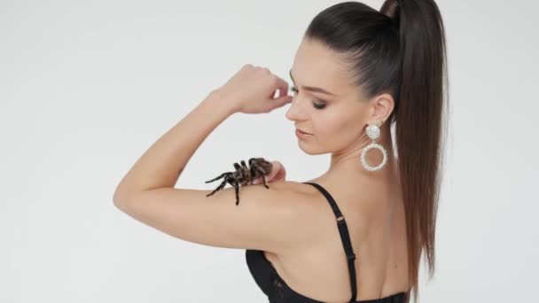 Grande aranha preta em uns ombros de mulher. Fechar Vercion 1 — Vídeo de Stock