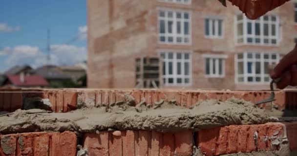 Trabalhador masculino coloca tijolo na parede com cimento usando espátula. Fechar — Vídeo de Stock