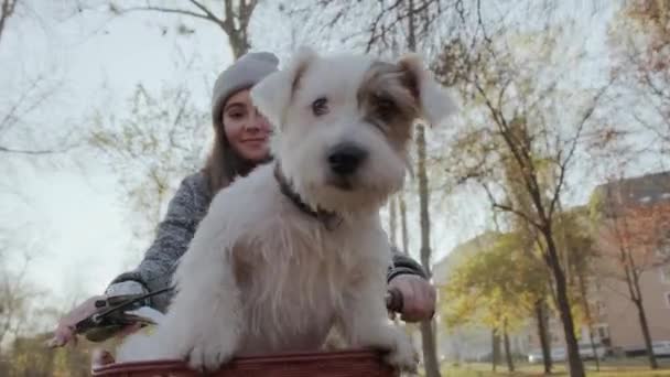Portret młodej dziewczyny niesie psa w koszu na rowery, zabawne zwierzaki. Zwolniony ruch — Wideo stockowe