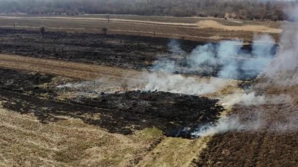 Emergencia climática y cambio. El calentamiento global. un avión no tripulado aéreo vuela sobre la vista de un incendio de hierba. Versión 2 — Vídeos de Stock