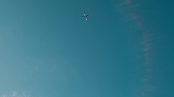 Airplane Fly Pass the Blue Sky down to up view — Video Stock