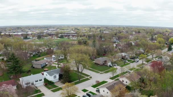 Luchtdrone zicht op de Amerikaanse buitenwijk in de zomer. We maken foto 's van de Amerikaanse buurt. Onroerend goed, top down uitzicht op residentiële huizen. Dronebreed schot — Stockvideo