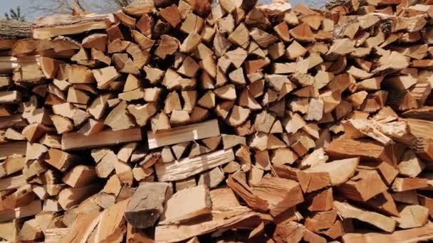 Empilement de bois de chauffage haché, billes de bois écorcées brutes dans un entrepôt. caméra en mouvement — Video