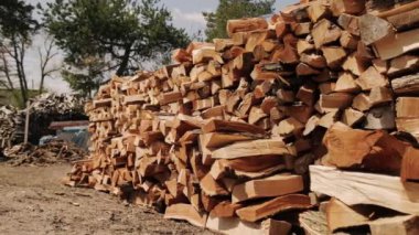 Doğranmış odun yığınını yakın, depoda çiğ ağaç kütükleri var. Kamera hareket ediyor