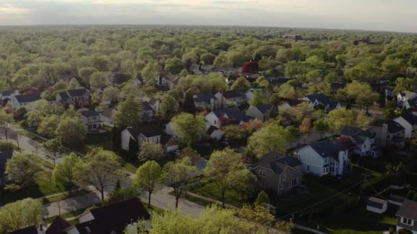 Luchtdrone uitzicht op onroerend goed in de Amerikaanse buitenwijk in de zomer. Amerikaanse buurt. uitzicht op woonhuizen — Stockvideo