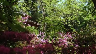 Yazın çiçek bahçesinde ahşap bir ev.,