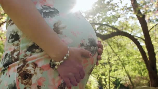 Primer plano de la mujer embarazada feliz acariciando vientre en el bosque. — Vídeo de stock