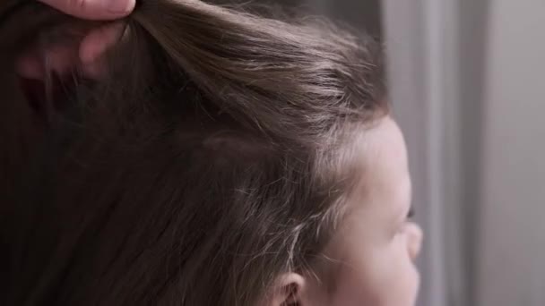 Close up colpo di Madre trecce giovane figlia trecce sulla testa dei capelli. — Video Stock