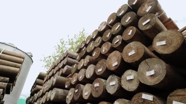 목재 산업. 통나무 더미를 가까이 서 보라. 잘려나간 나무의 뿌리 부분. — 비디오