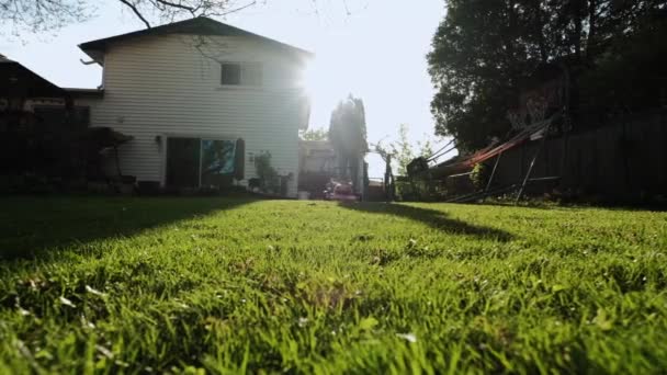 Een man maait het gras in de achtertuin met een elektrische grasmaaier. Langzame beweging — Stockvideo