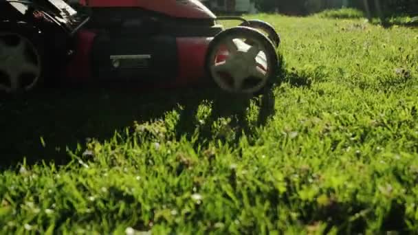 Arka bahçedeki çimleri elektrikli çim biçme makinesiyle biçen bir adamın yakın görüntüsü. Yavaş çekim — Stok video
