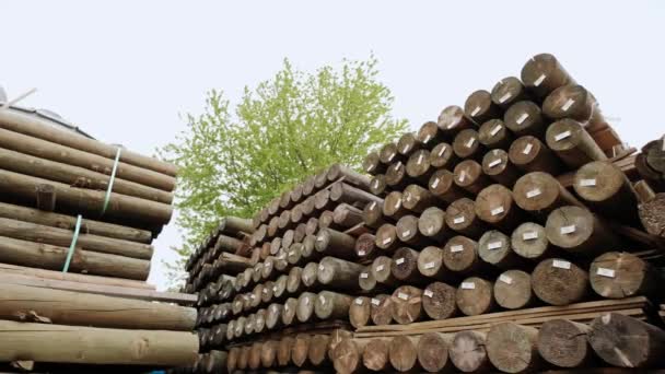 Holzindustrie. Nahaufnahme eines Stapels von Baumstämmen. Ein Teil des Stammes eines Baumes, der abgesägt wurde. Kamera verschieben — Stockvideo