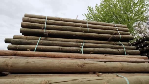 Faipar. Közelkép egy halom rönkről. Egy fa törzsének egy darabja, amit kivágtak. Közelről. — Stock videók