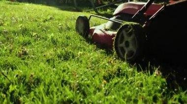 Kapatın. Bir adam elektrikli çim biçme makinesiyle arka bahçedeki çimleri biçiyor. Yavaş çekim