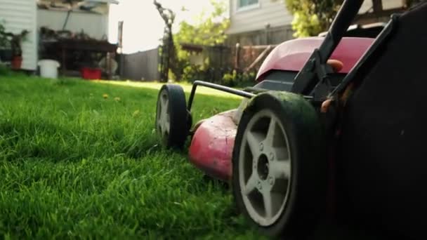 Geleceği kapatın. Bir adam elektrikli çim biçme makinesiyle arka bahçedeki çimleri biçiyor. Yavaş çekim — Stok video