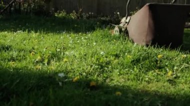 Bir adam elektrikli çim biçme makinesiyle arka bahçedeki çimleri biçiyor. Yavaş çekim. Yakın çekim.