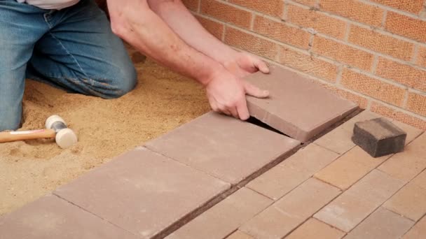 Travailleur pose des tuiles sur le sable pressé. Plan au ralenti — Video