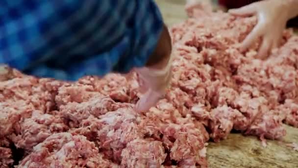 Primer plano de Las manos de los chefs mezclan una gran cantidad de carne picada. Movimiento lento — Vídeos de Stock