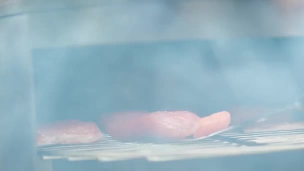 Fumer du poisson, met des morceaux de poisson pour fumer dans le fumoir — Video