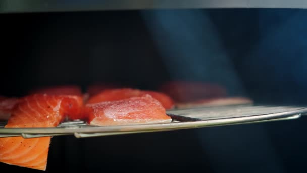 Fumar pescado, pone trozos de pescado para fumar en el ahumadero — Vídeo de stock