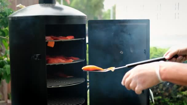 Fumar peixe, coloca pedaços de peixe para fumar no fumeiro — Vídeo de Stock