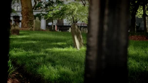 阳光灿烂的日子,墓地的景象.移动相机 — 图库视频影像