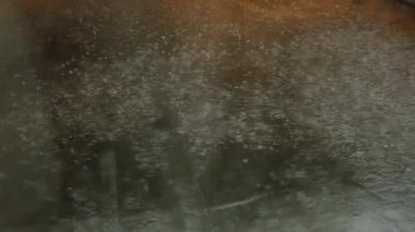 Yağmur mevsiminde çitlere yavaş çekim manzarası