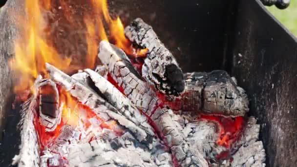 Vue au ralenti du bois brûlant au feu chaud avec charbon sur le sol — Video