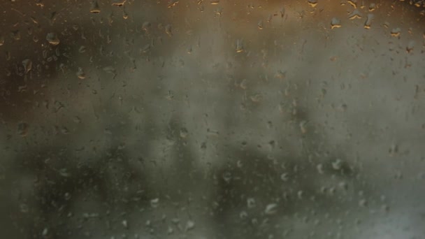 Vista en cámara lenta de la lluvia de la temporada de lluvias. De cerca. — Vídeos de Stock