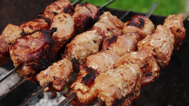 Close up shot of charcoal cooked meat. Barbecue grilling shish kebab — Stock Video