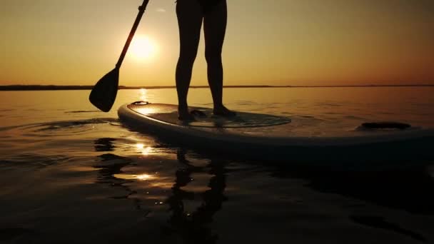 Siluet of Woman standing firmly on inflatable SUP board and paddling through shining water surface. Close up — Stock Video