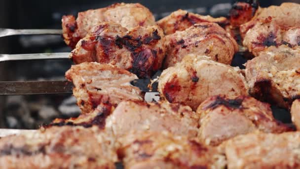 Zamykamy futage. Węgiel drzewny gotowane mięso. Grill grillowanie shish kebab — Wideo stockowe