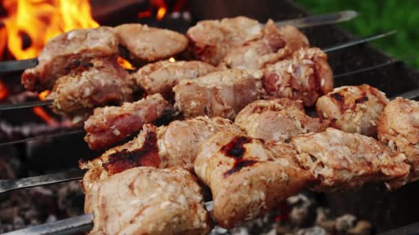 Barbecue griller shish kebab Charcoal viande cuite. Gros plan. — Video