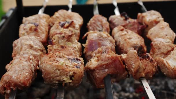 Barbecue grigliate shish kebab Carbone di legna carne cotta. Vista da vicino — Video Stock