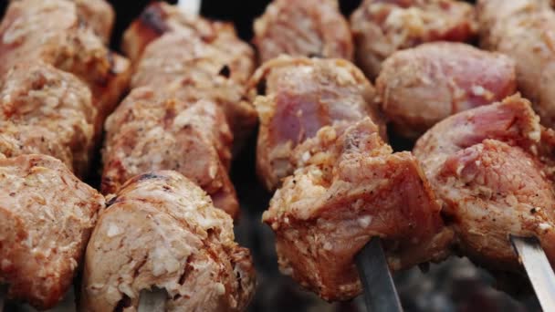 Grill grillning shish kebab Charcoal kokt kött. Närbild skott — Stockvideo