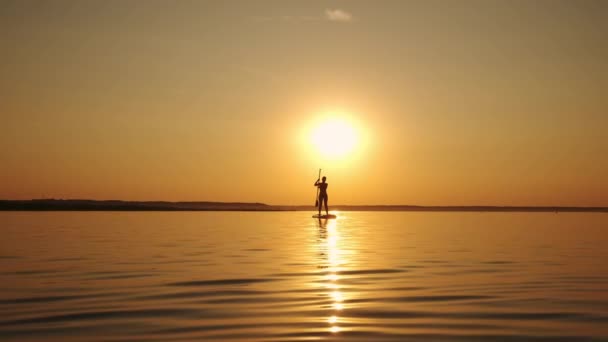 Woman standing firmly on inflatable SUP board and paddling through shining water surface. Wide shot futage — Stock Video