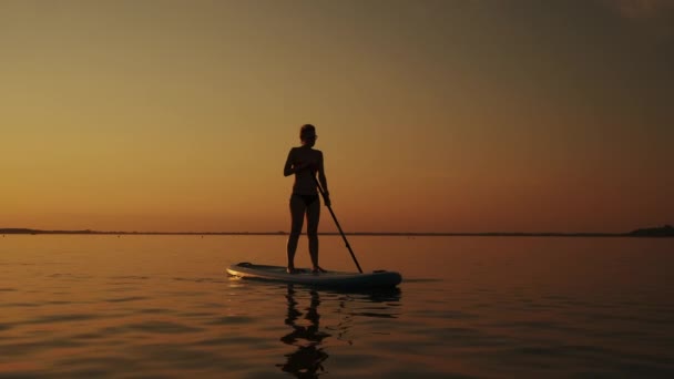 SUP 보드 위에 서서 빛나는 물 표면을 노 젓는 여성의 실렛. ( 슬로우 모션 ), — 비디오