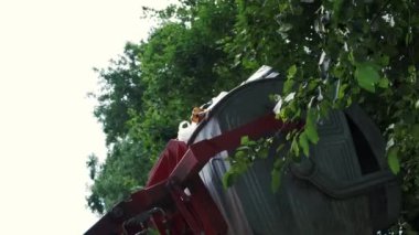 Belediye çalışanlarının geleceği çöp kamyonunda çöp toplamakla geçiyor