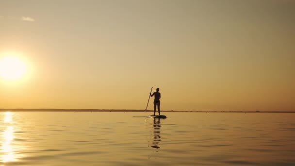 Siluet de mujer de pie en el tablero de SUP y remando a través de la superficie de oro de agua brillante. Vista panorámica de movimiento lento — Vídeos de Stock