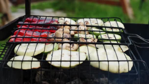 Keluarga BBQ Picnic Barbecue Vegetables Grilling in the Nature Park outdoor (dalam bahasa Inggris). Tutup tampilan — Stok Video