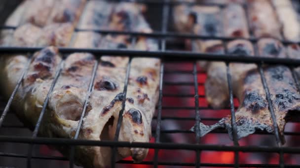 Chiudete. Cottura e tostatura di pesce marinato alla griglia. — Video Stock