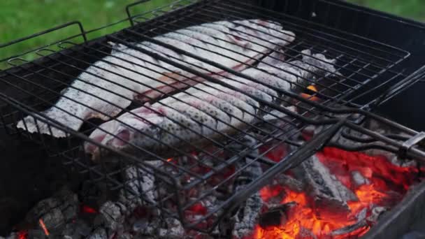 Close up futage of Baking and roasting marinated fish on barbecue grill. — Stock Video