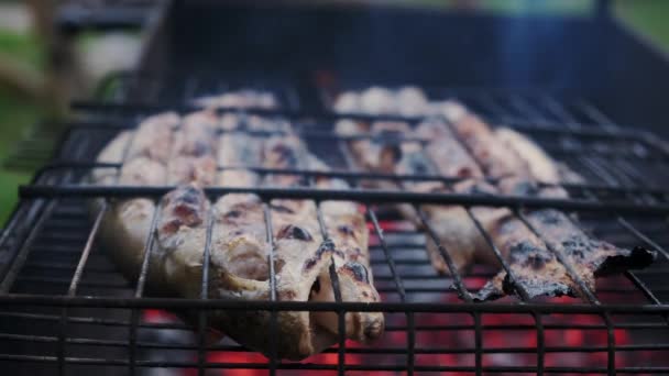 Fermez le futage. Cuisson et rôtissage de poisson mariné sur barbecue. — Video