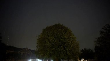 Fırtına sırasında banliyö caddesindeki evin önündeki ağaç manzarası. Gökyüzünde şimşek çakan şimşek. Binanın içinden yakın çekim. Yüksek kalite 4k görüntü