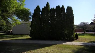 POV güneşli bir yaz ya da sonbahar gününde Park Caddesi 'nin kaldırımında huzurlu bir şekilde araba kullanıyordu. Yeşil yapraklı ağaçlar caddeyi kaplıyor. Arabadan yan görüş. Yüksek kalite 4k görüntü
