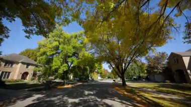 Güneşli bir yaz ya da sonbahar gününde varoş mahallesinde POV huzurlu bir sürüş. Yeşil yapraklı ağaçlar caddeyi kaplıyor ve güneş ışığı sıcak ve davetkar bir atmosfer yaratıyor. Yüksek kalite 4k görüntü