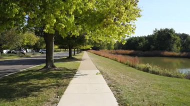 Sakin bir göletin yanında yeşil ağaçlarla kaplı sessiz bir banliyö yürüyüş yolu. Sahne güneşli bir günde huzurlu bir çevre yakalıyor. Yüksek kalite 4k görüntü